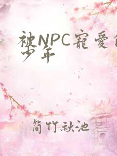 被NPC宠爱的少年