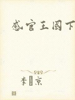 感官王国下载