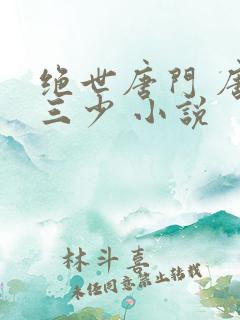绝世唐门 唐家三少 小说