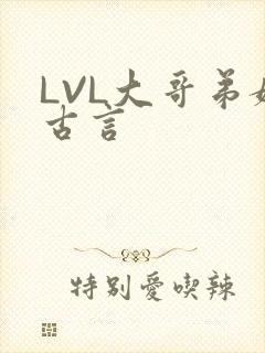 LVL大哥弟媳古言