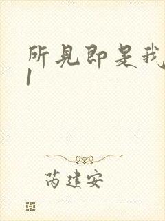 所见即是我1V1