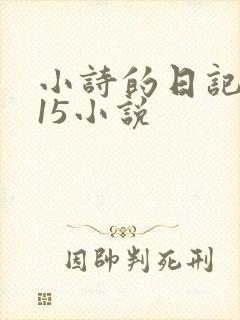 小诗的日记1一15小说