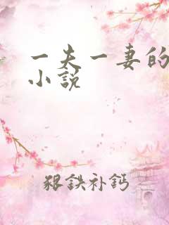 一夫一妻的玄幻小说