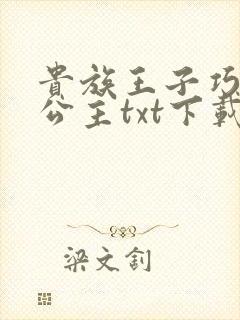 贵族王子巧遇穷公主txt下载