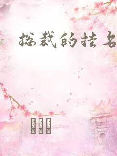 总裁的挂名娇妻