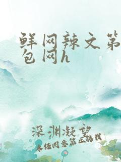 鲜网辣文第二书包网h