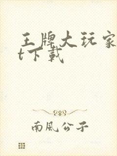 王牌大玩家txt下载