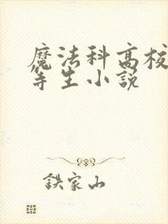 魔法科高校的劣等生小说