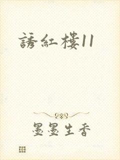诱红楼11