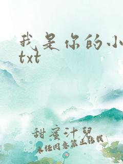 我是你的小小狗txt