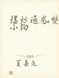 爆炒通感双胞胎小狗