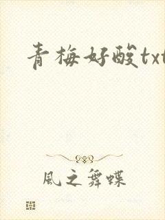 青梅好酸txt