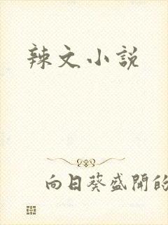辣文小说