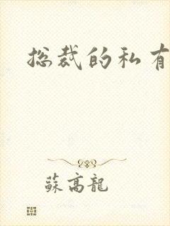 总裁的私有宝贝