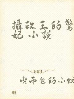 摄政王的惊世嫡妃 小说