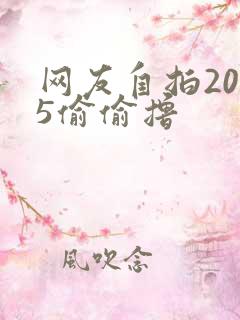 网友自拍2015偷偷撸