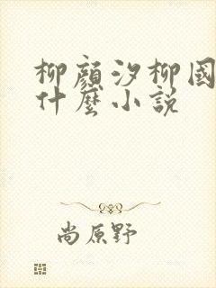 柳颜汐柳国安是什么小说