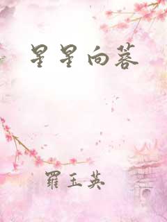星星向蓉