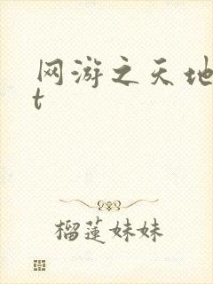 网游之天地txt