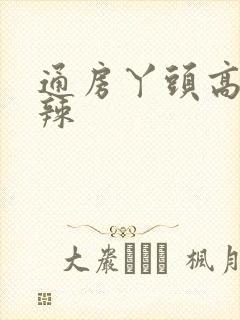 通房丫头高h肉辣