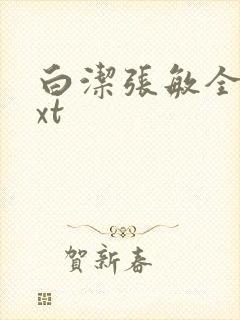 白洁张敏全集txt