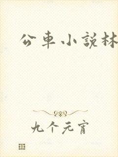公车小说林蔓蔓