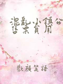 混乱小镇公交车售票员用