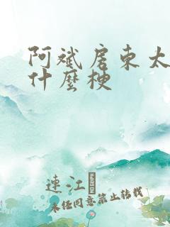 阿斌房东太太是什么梗