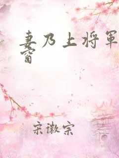 妻乃上将军无弹窗
