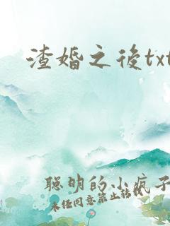 渣婚之后txt