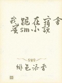 我跪在宿舍被闺蜜sm小说