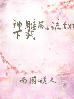 神雕风流txt下载