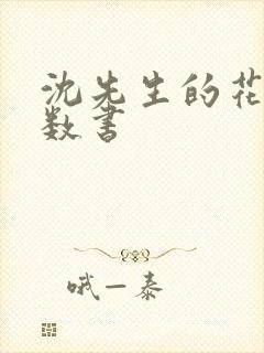 沈先生的花式调数书