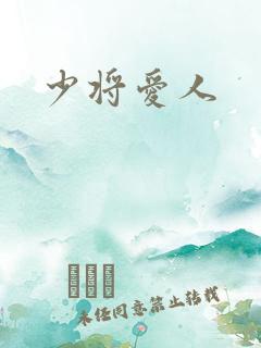 少将爱人
