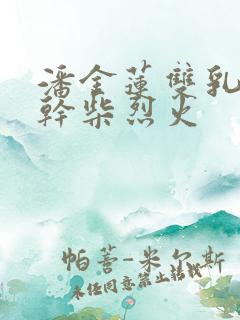 潘金莲双乳晃动干柴烈火