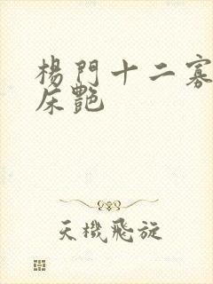 杨门十二寡妇肉床艳