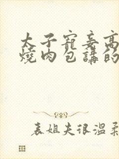 太子宠妾高肉红烧肉包讲的什么