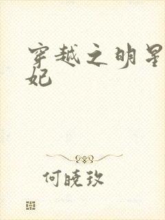 穿越之明星太子妃