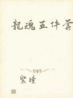 龙魂五件套