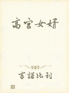 高官女婿