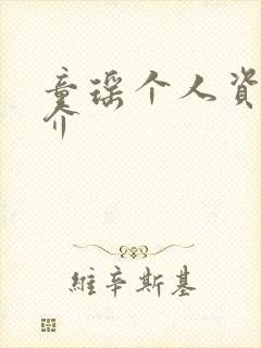 童瑶个人资料简介