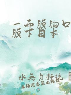 一面膜胸口一面膜下日本