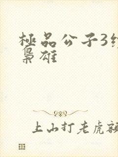 极品公子3续世枭雄