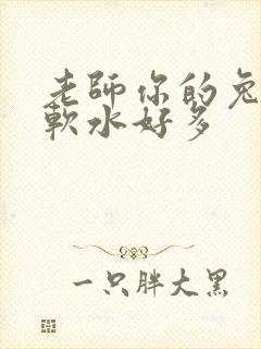老师你的兔子好软水好多