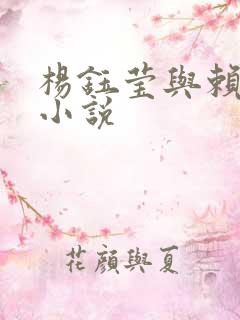 杨钰莹与赖昌星小说