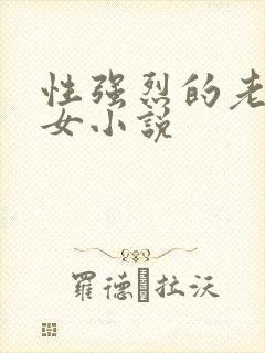 性强烈的老年妇女小说