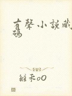 有声小说藏地密码