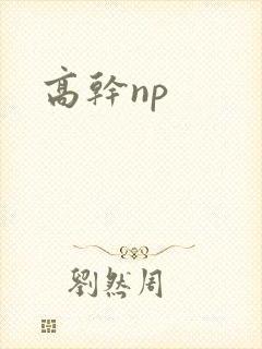 高干np