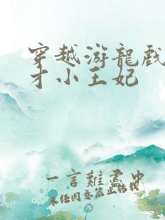 穿越游龙戏凤天才小王妃