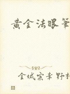 黄金法眼笔趣阁